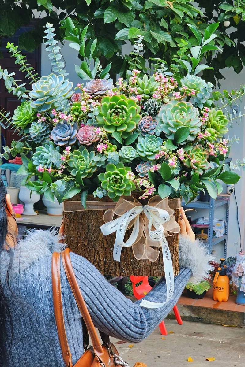 Decor sáng tạo với quà tặng sen đá decor