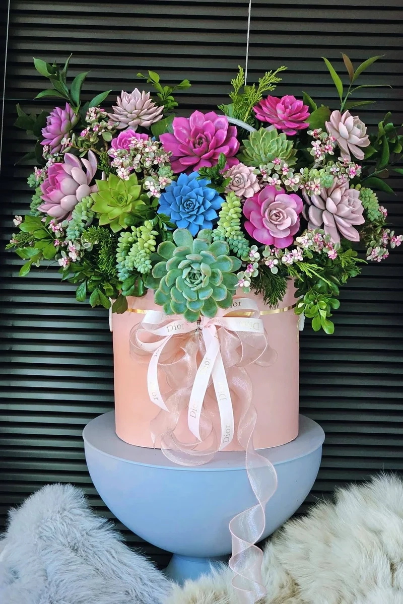 Khám phá vẻ đẹp Đà Lạt với quà tặng sen đá đà lạt