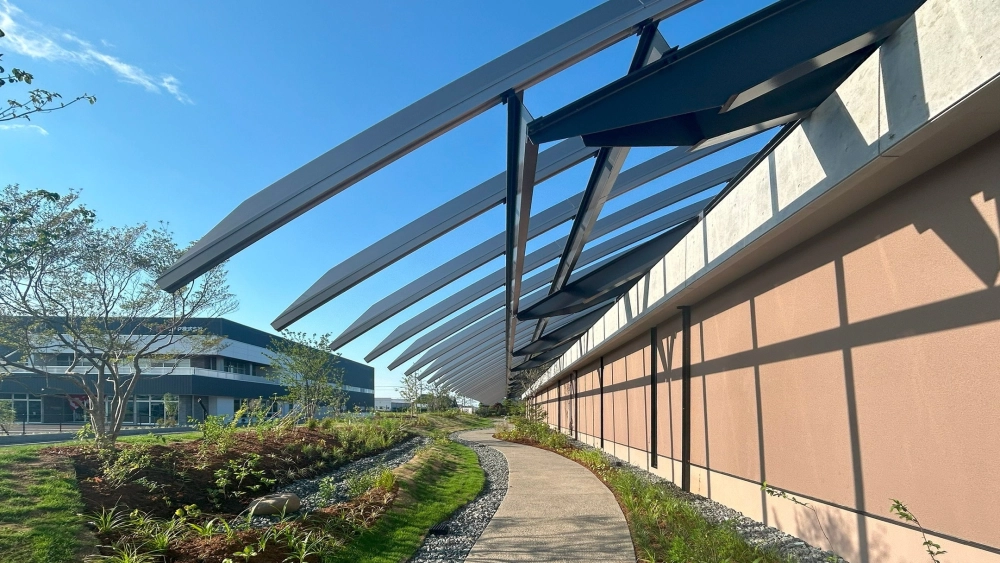 Sân thượng đẹp trồng hoa hồng leo khoe sắc rực rỡ