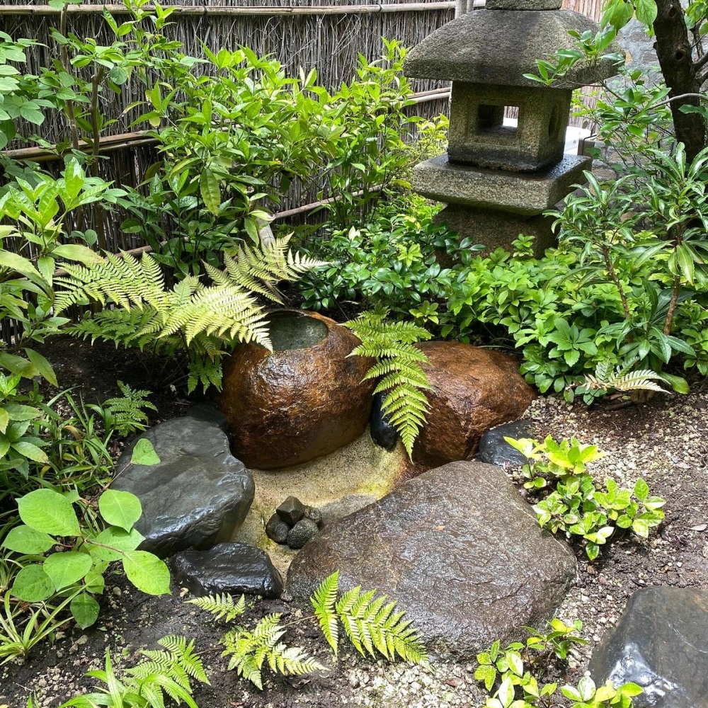 Tiểu cảnh sân thượng đẹp kết hợp hồ cá nhỏ