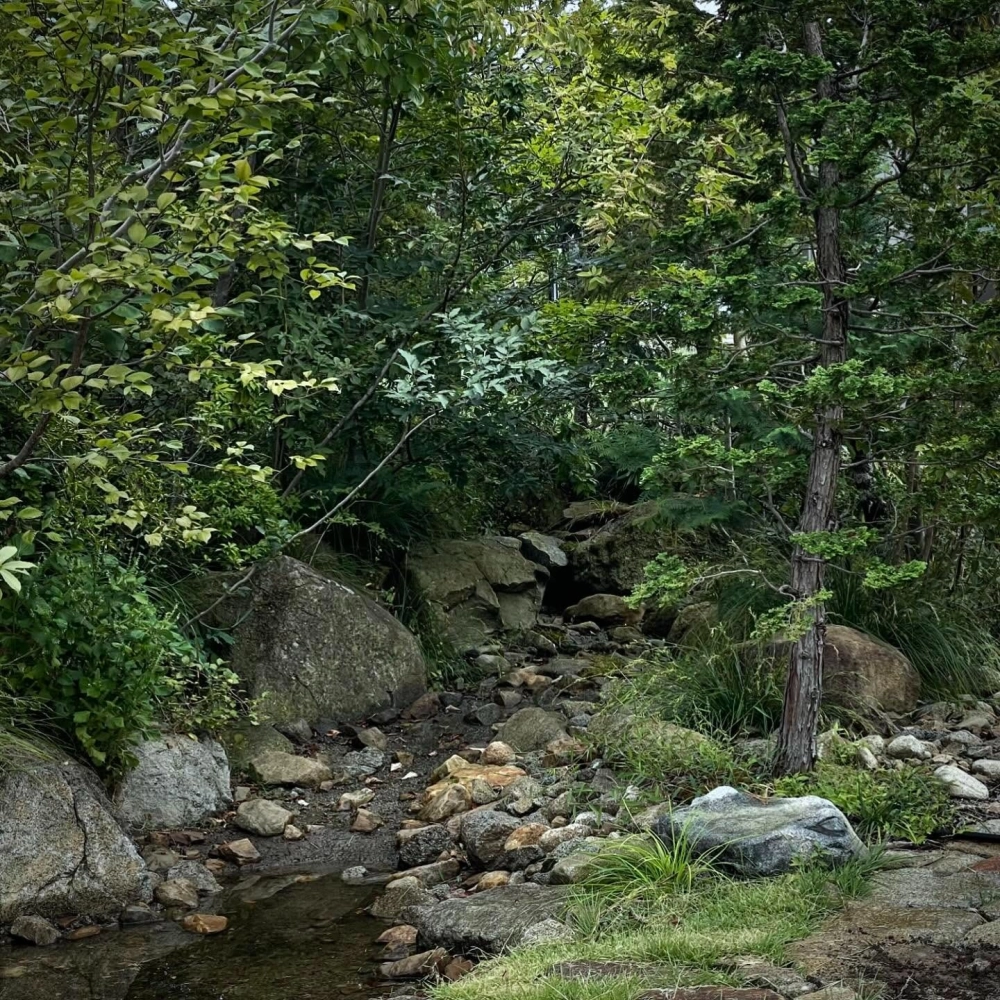 Cổng sân vườn biệt thự gỗ tự nhiên sang trọng