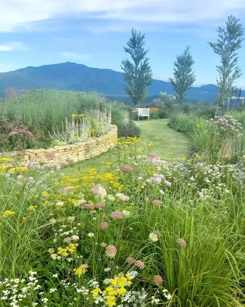 Tiểu cảnh sân vườn biệt thự với thác nước nhân tạo sinh động