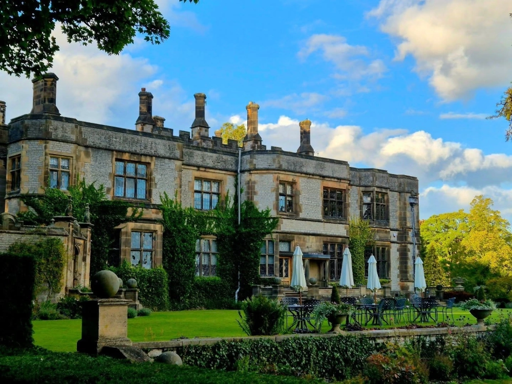 Sân vườn biệt thự có hồ bơi và khu vực thư giãn ngoài trời