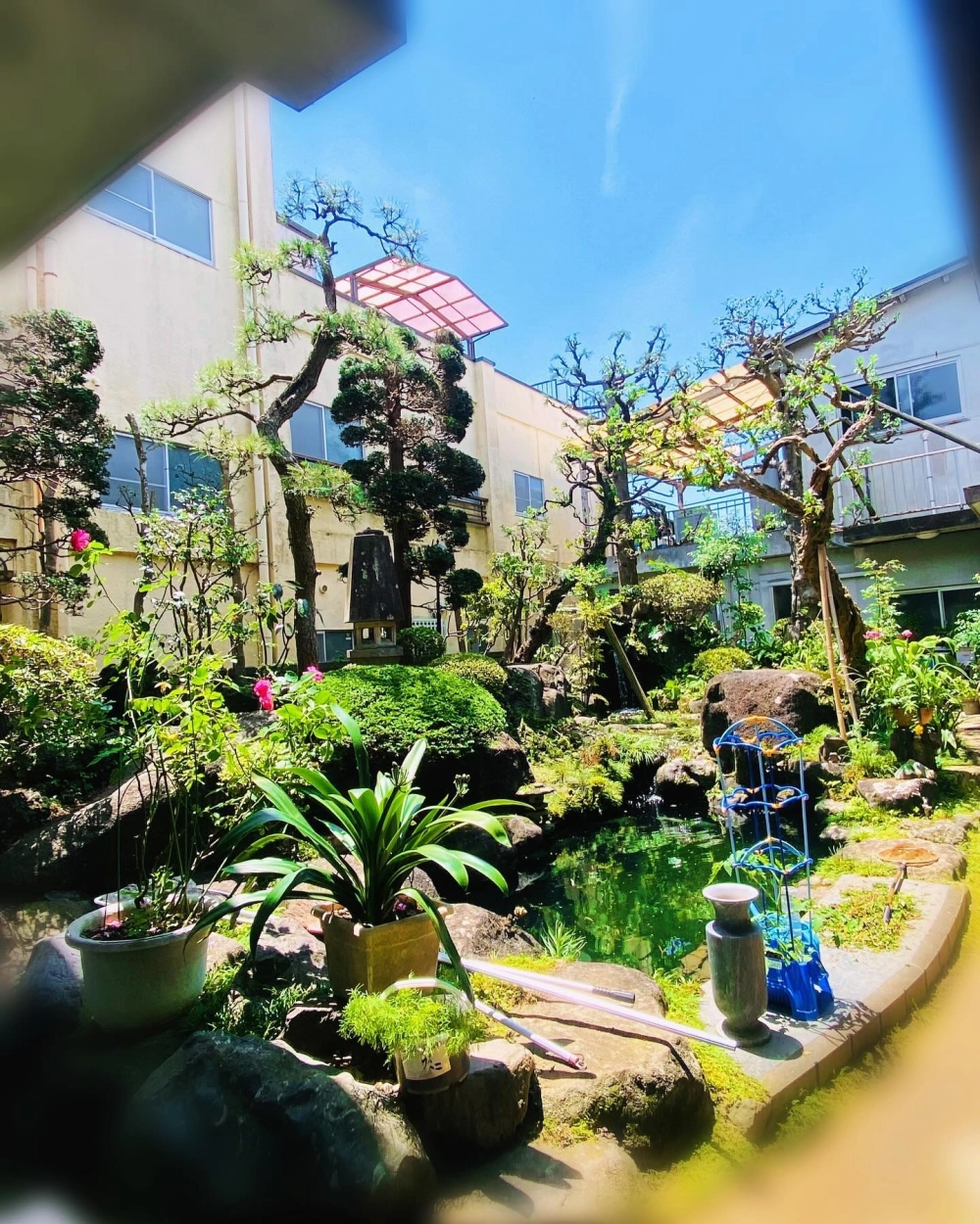 Không gian sân vườn có ao sen thơm ngát cho tâm hồn thư thái