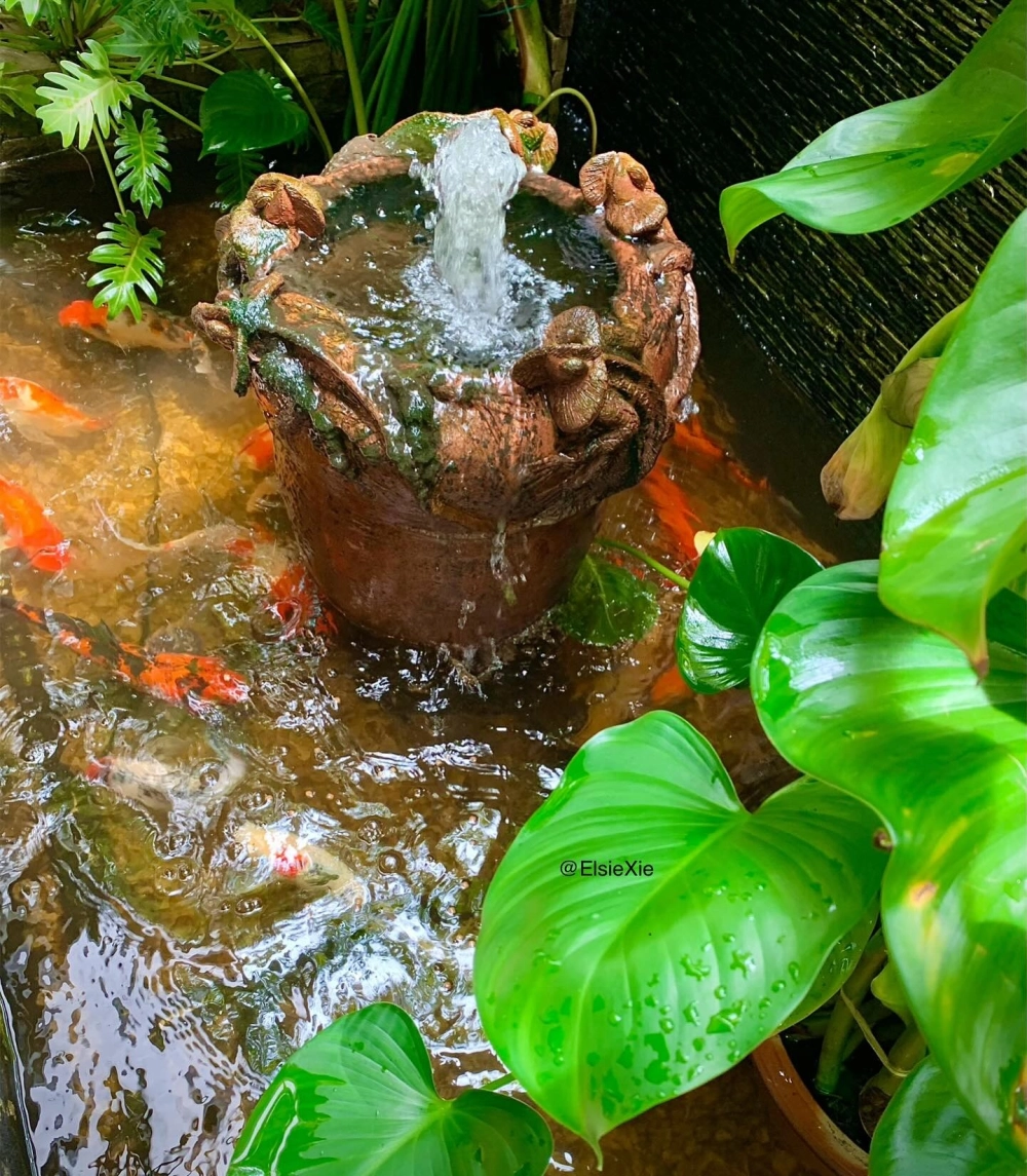 Mẫu sân vườn có ao cá nhỏ xinh trước hiên nhà