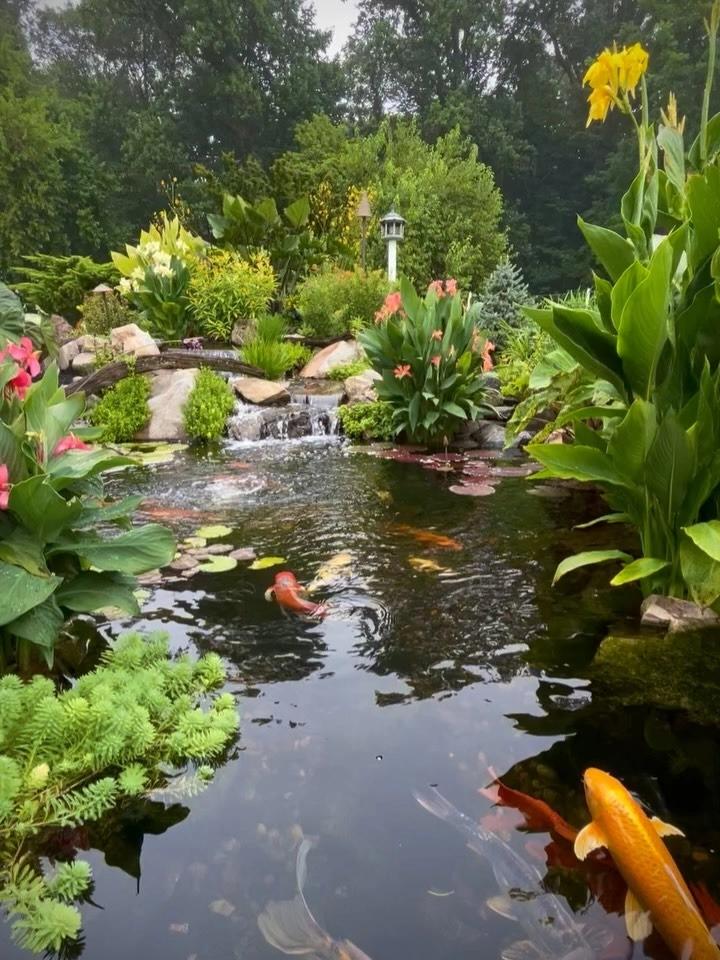 Không gian sân vườn có ao cá tự nhiên mang lại cảm giác bình yên