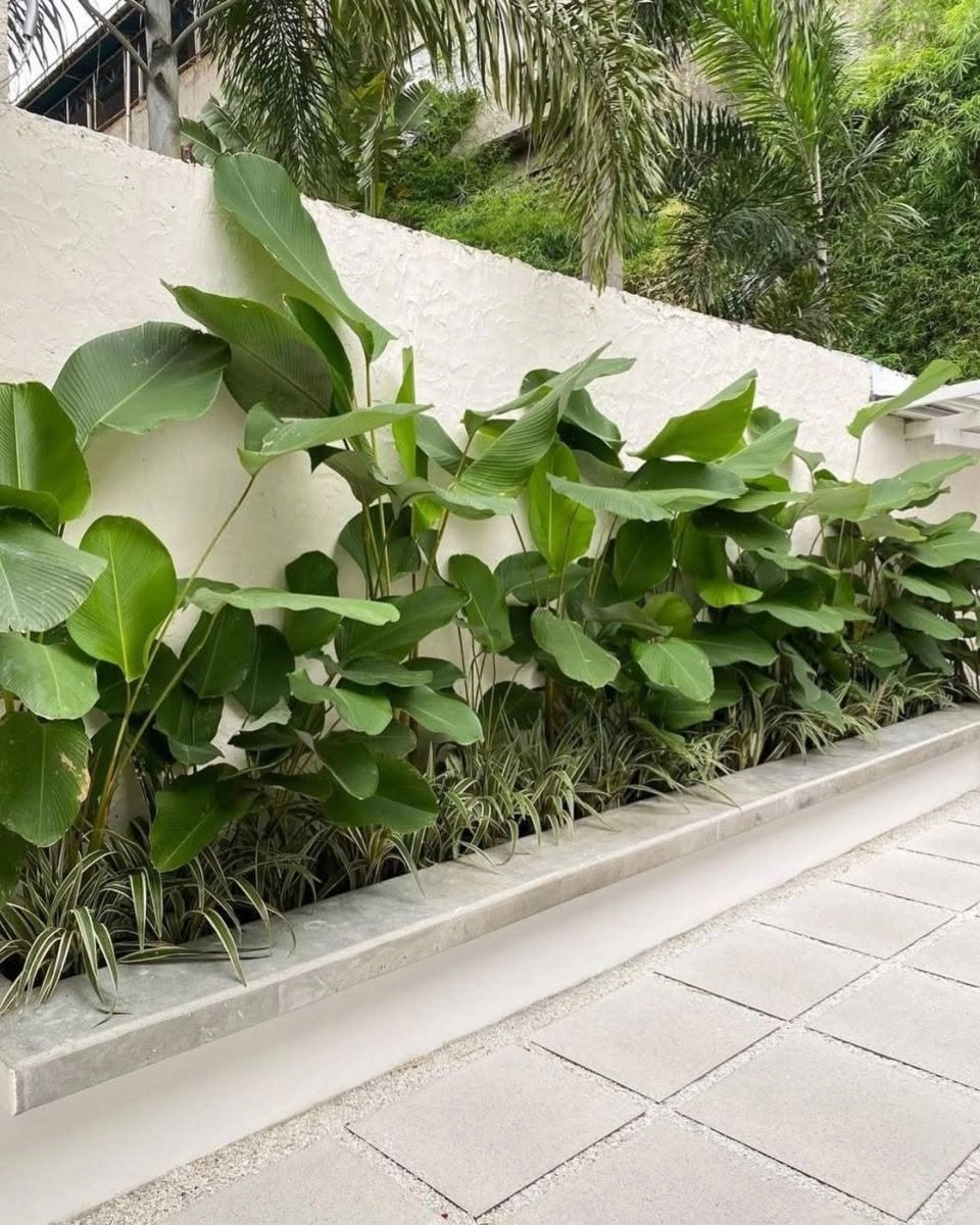 Sử dụng phần mềm thiết kế sân vườn 3d miễn phí đơn giản