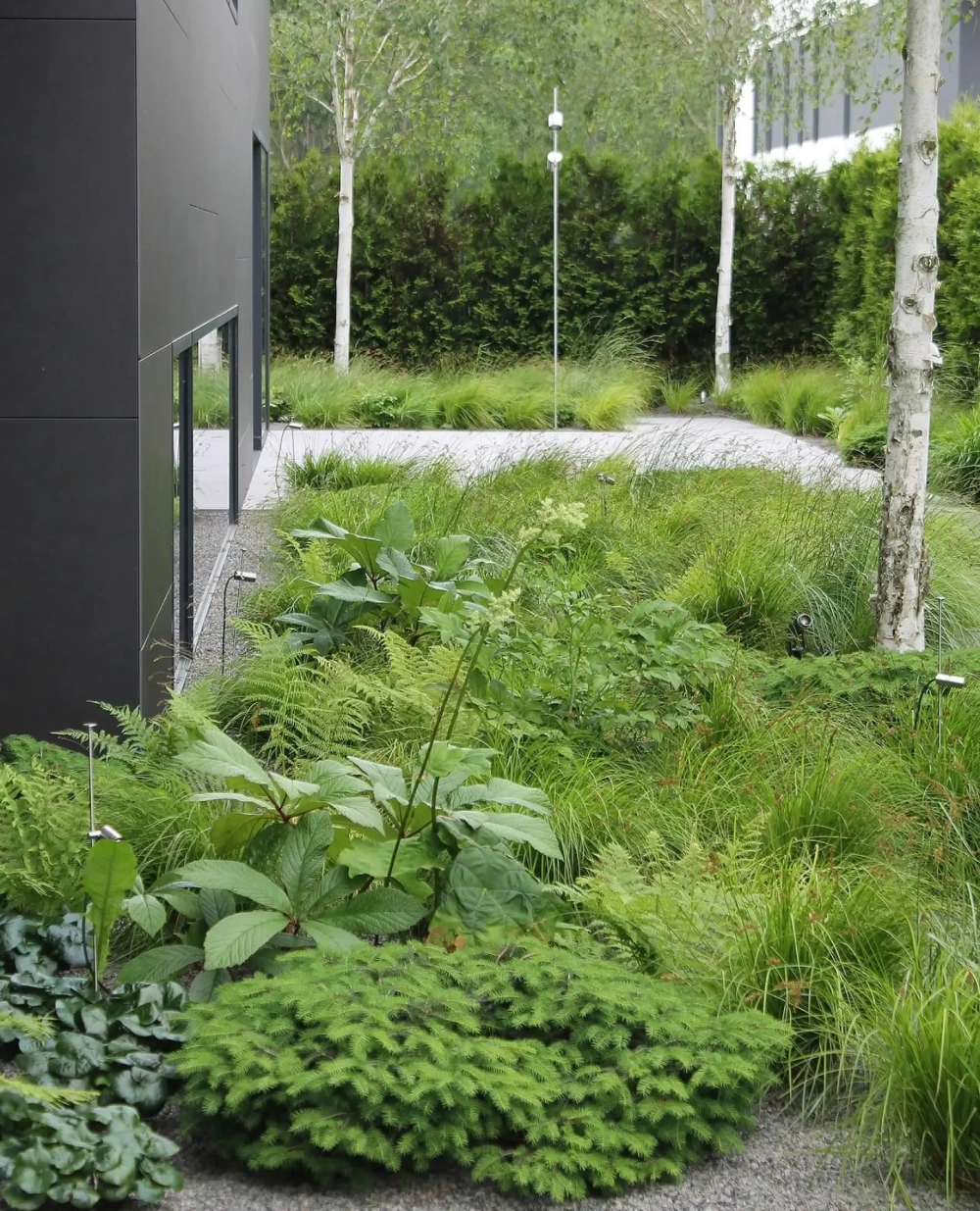 Sân vườn hiện đại không gian mở hòa quyện cùng mây trời