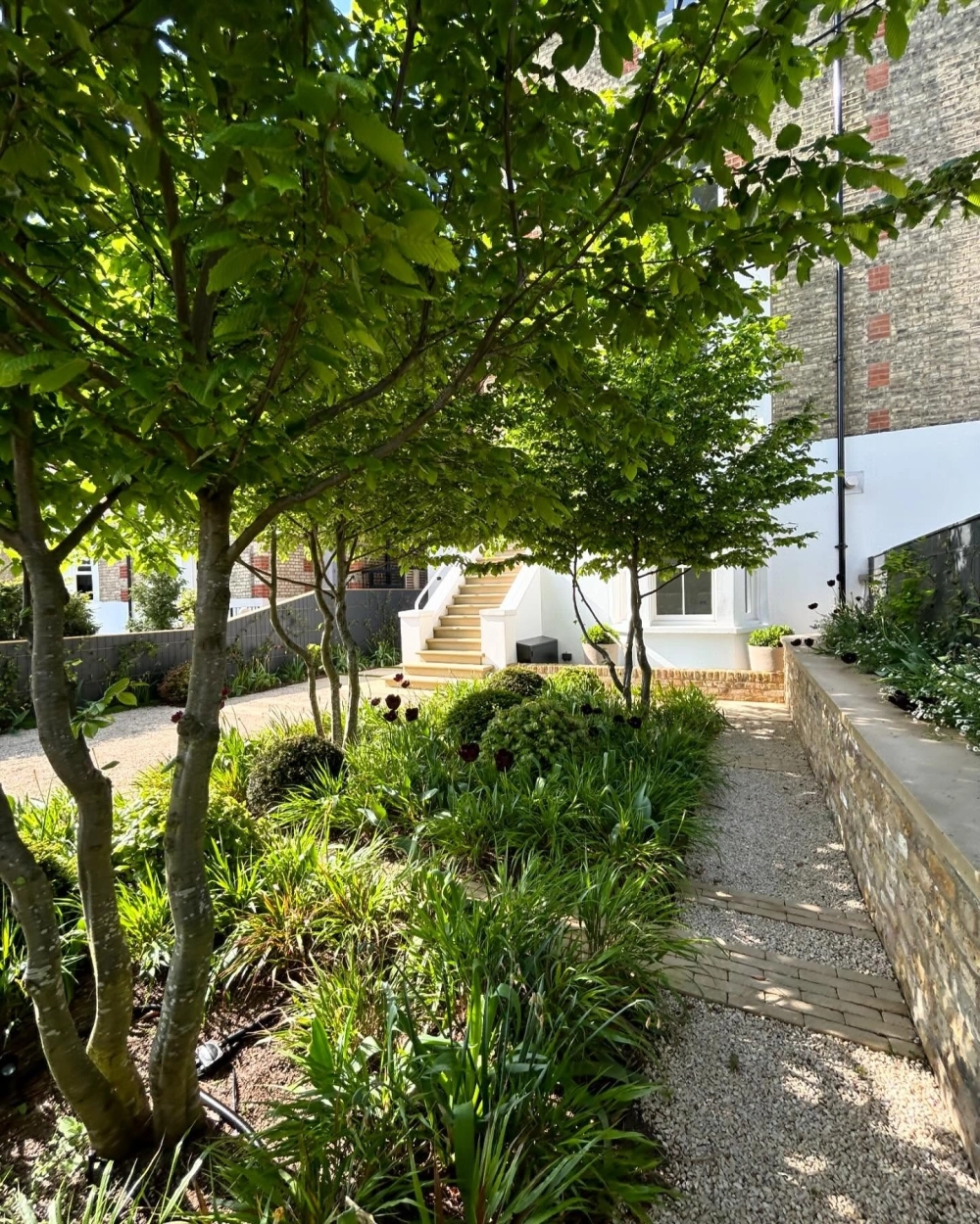 Tiểu cảnh khô mini trước nhà với xương rồng và đá