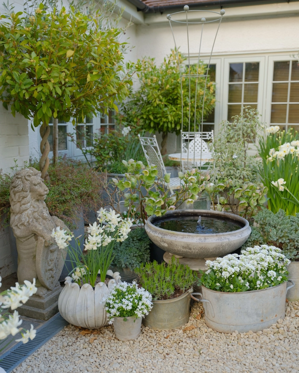 Giàn dây leo cho vườn mini trước sân thêm mát mẻ