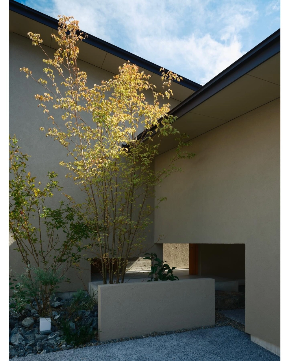 Thiết kế vườn mini trước sân với cây xanh và sỏi