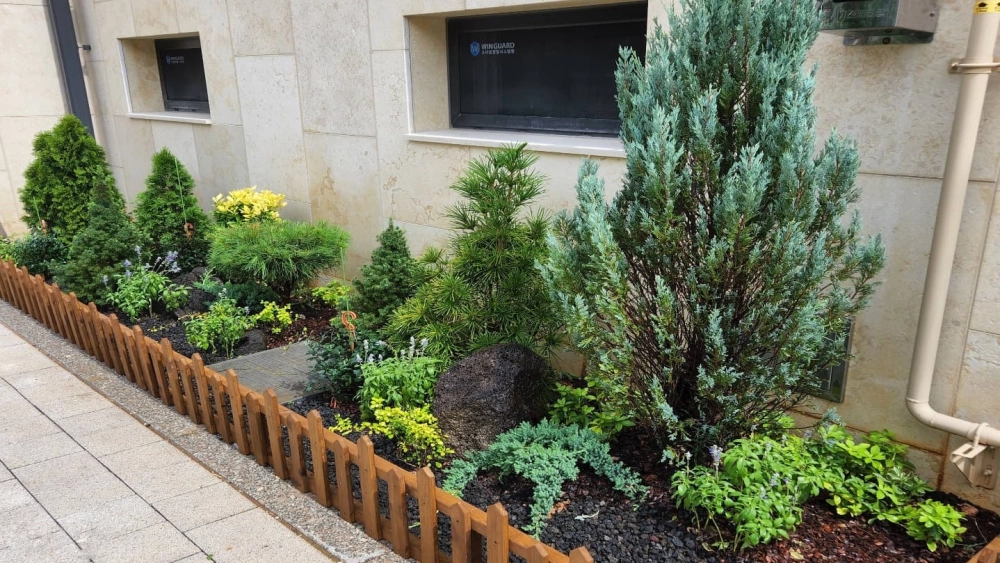 Tường cây xanh cho nhà phố tiết kiệm diện tích