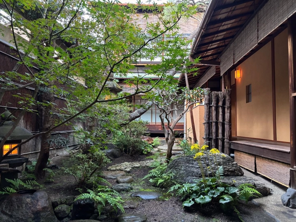 Sân vườn sau nhà phố yên tĩnh cho buổi trà chiều