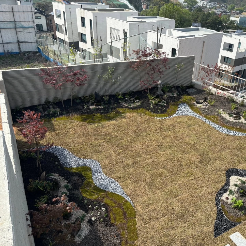 Sân vườn nhà phố hướng tây với cây chịu nắng