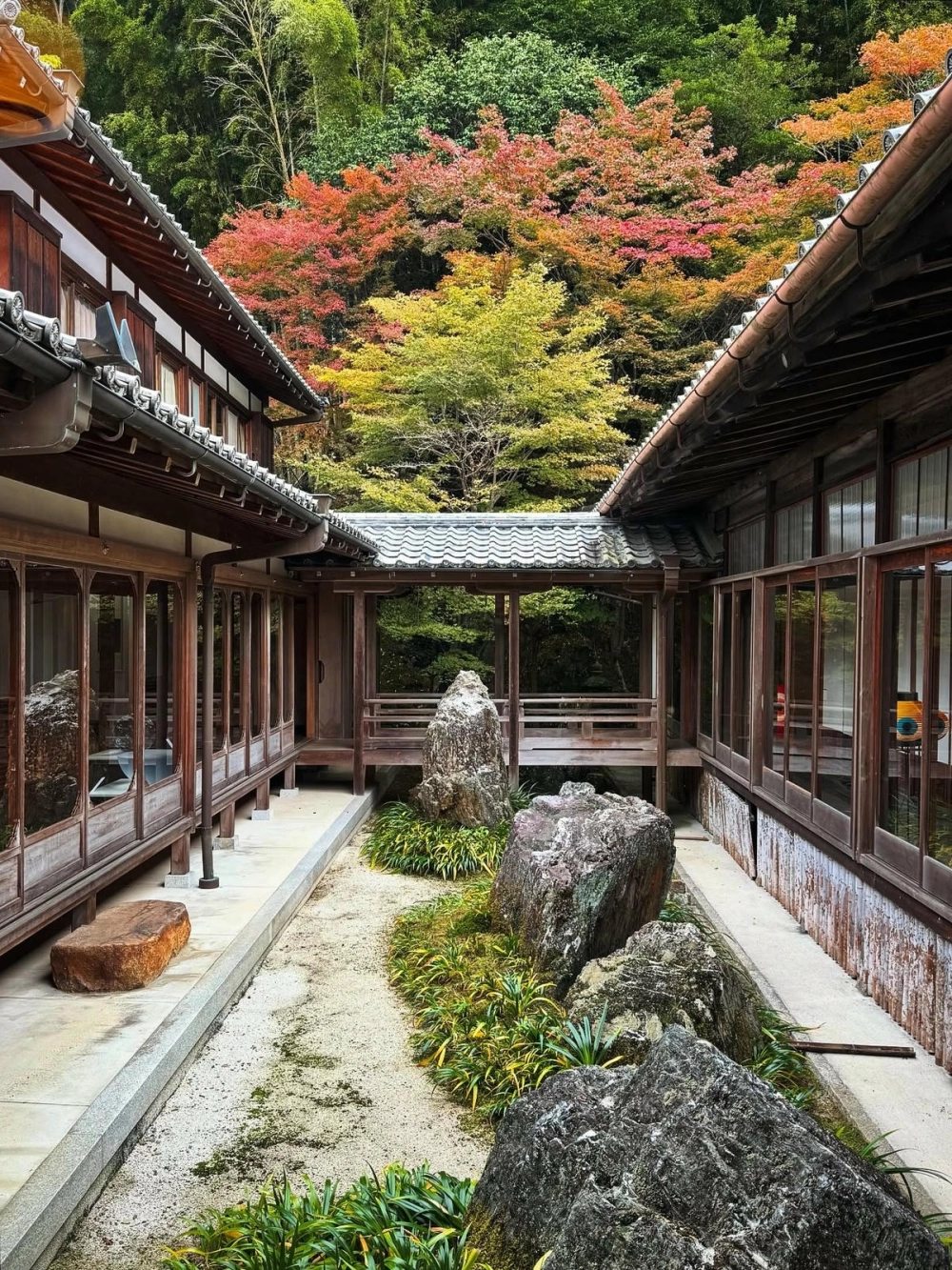 Dáng cây tùng la hán trong sân vườn nhật tạo vẻ uy nghiêm