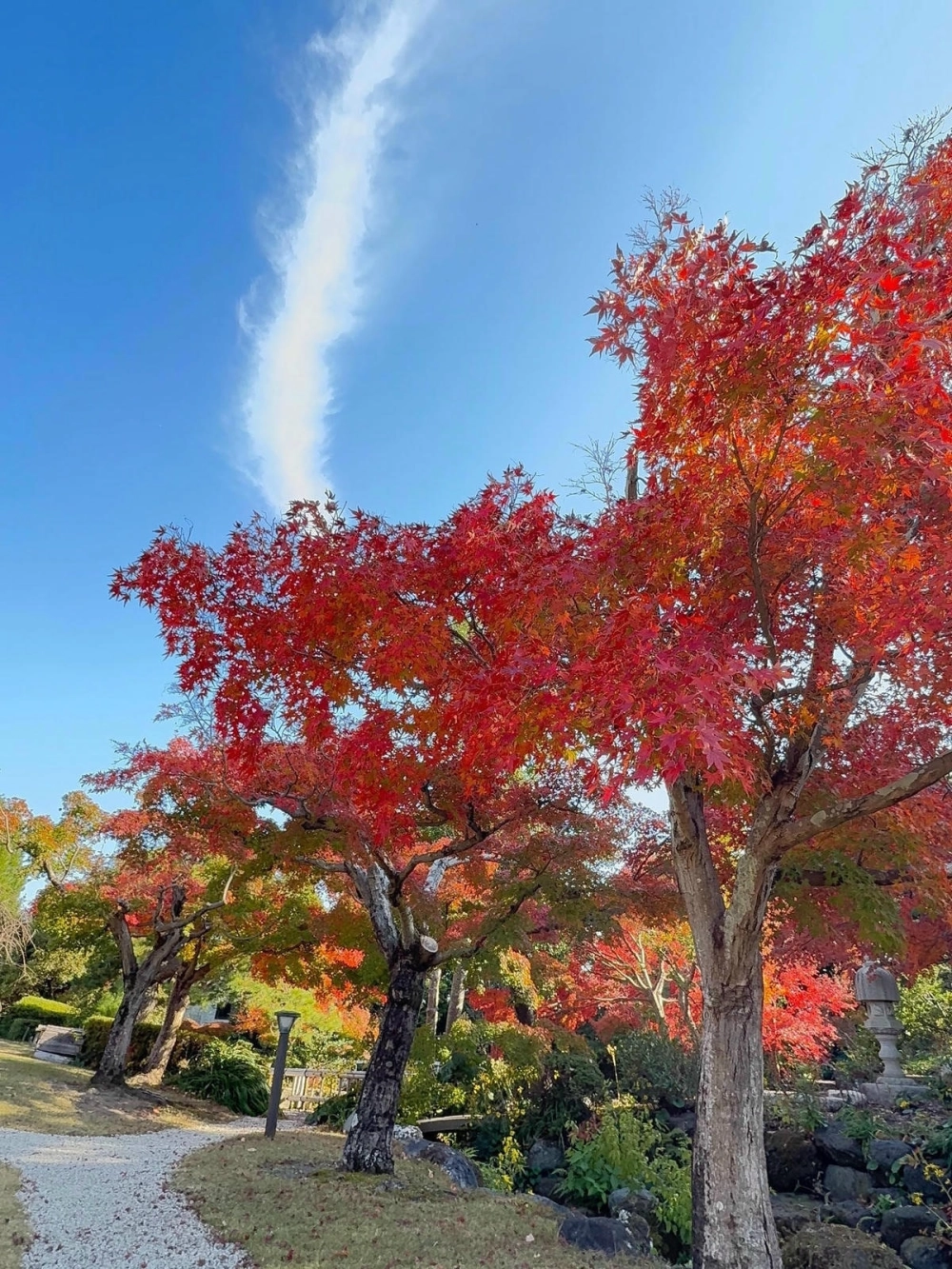 Lối đi sân vườn nhật bản lát đá tự nhiên tinh tế