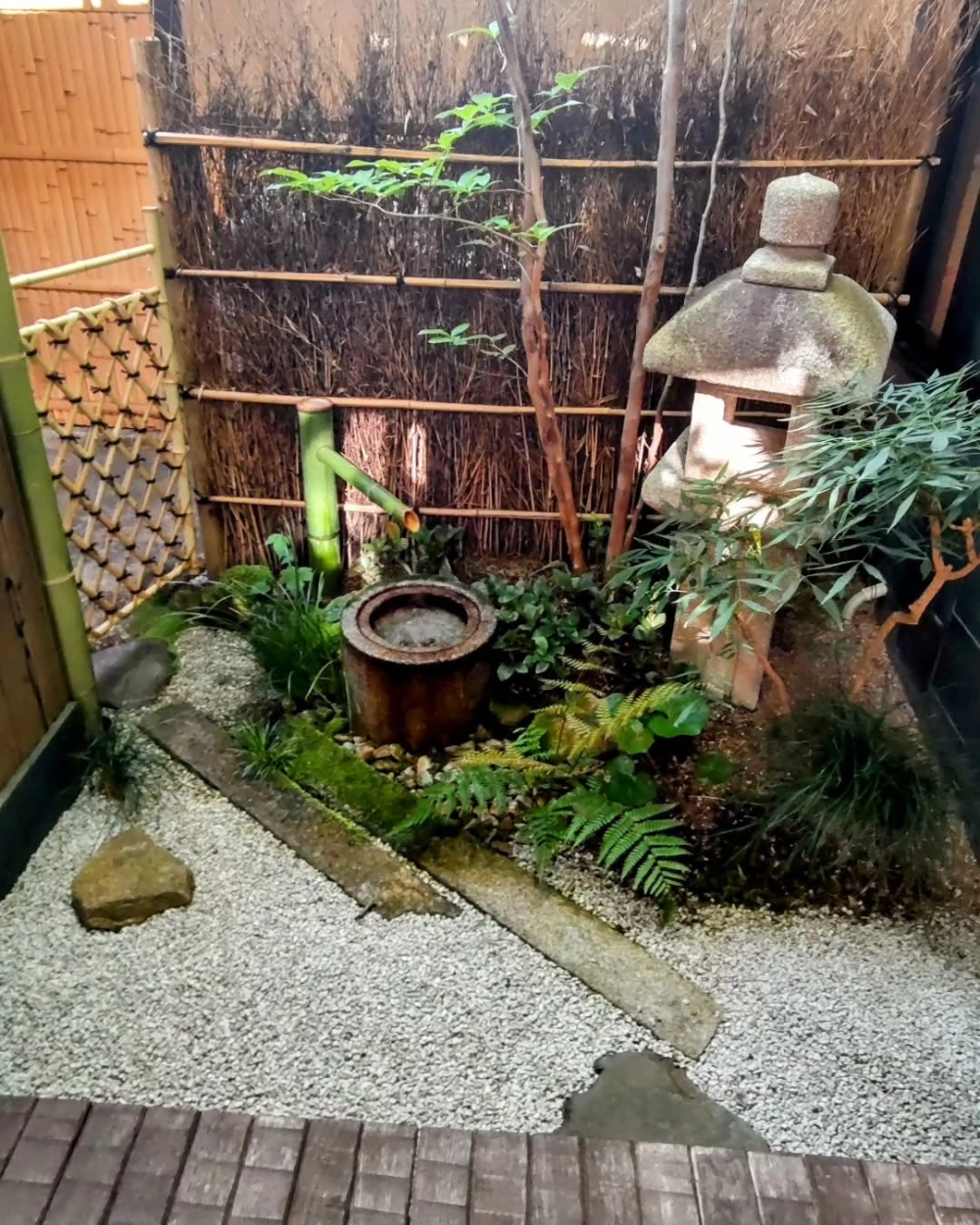 Sân vườn nhỏ có hồ nước và cá Koi sinh động