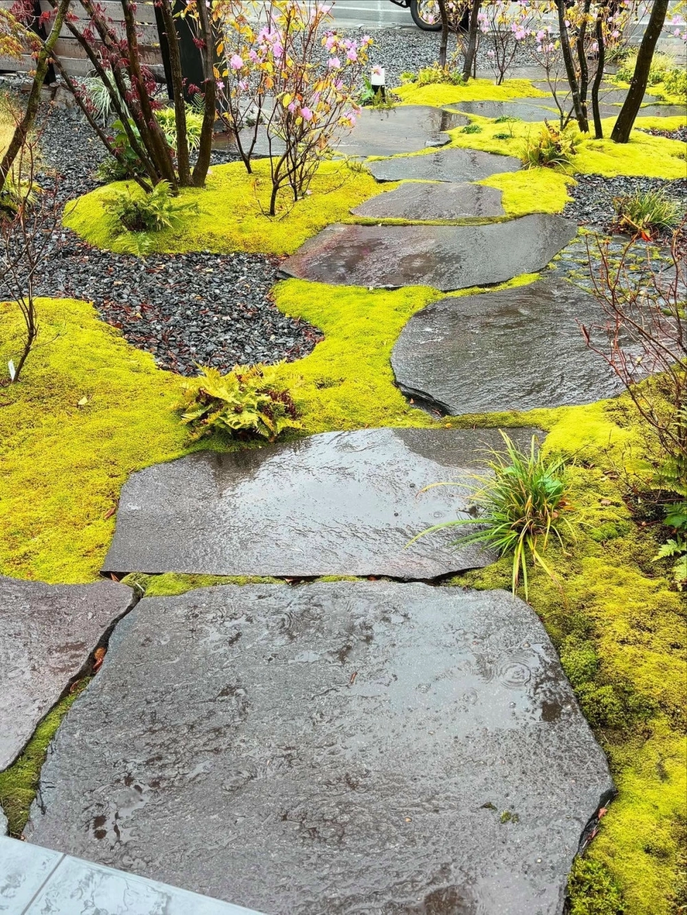 Thiết kế sân vườn nhỏ trước nhà cấp 4 hiện đại