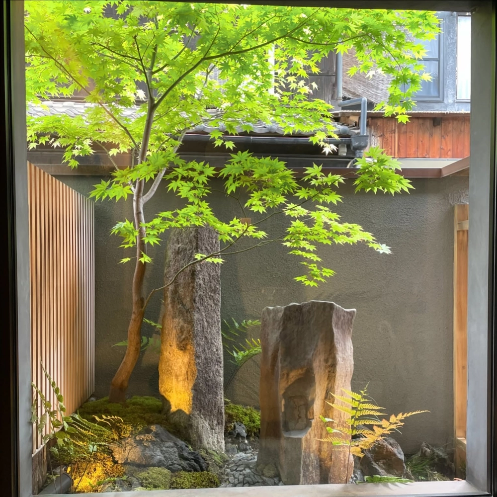 Mẫu sân vườn nhỏ trước nhà cấp 4 xanh mát hài hòa