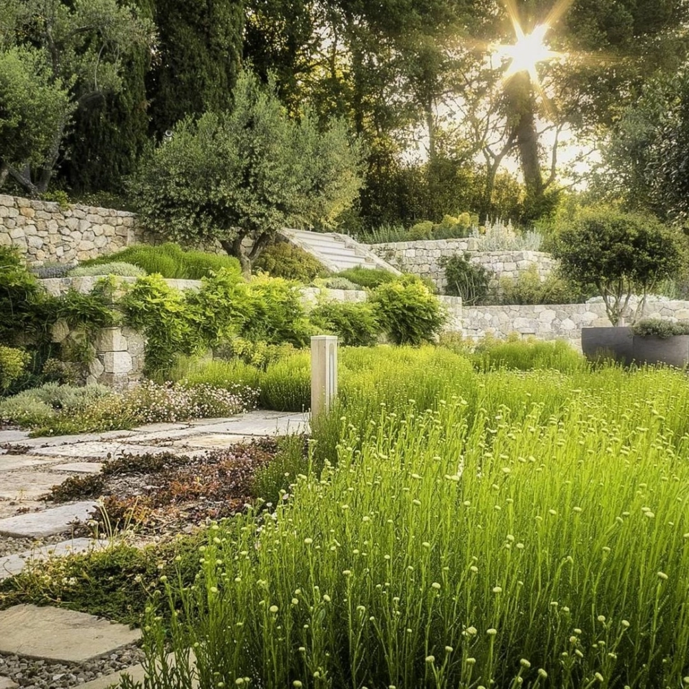 Thiết kế sân vườn phong cách Châu Âu cổ điển cho biệt thự sang trọng