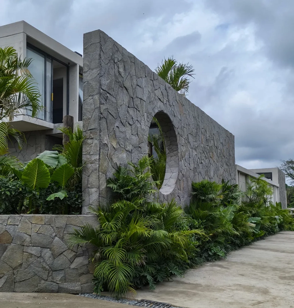 Tiểu cảnh đá và cây dương xỉ sân vườn Tropical đẹp mắt