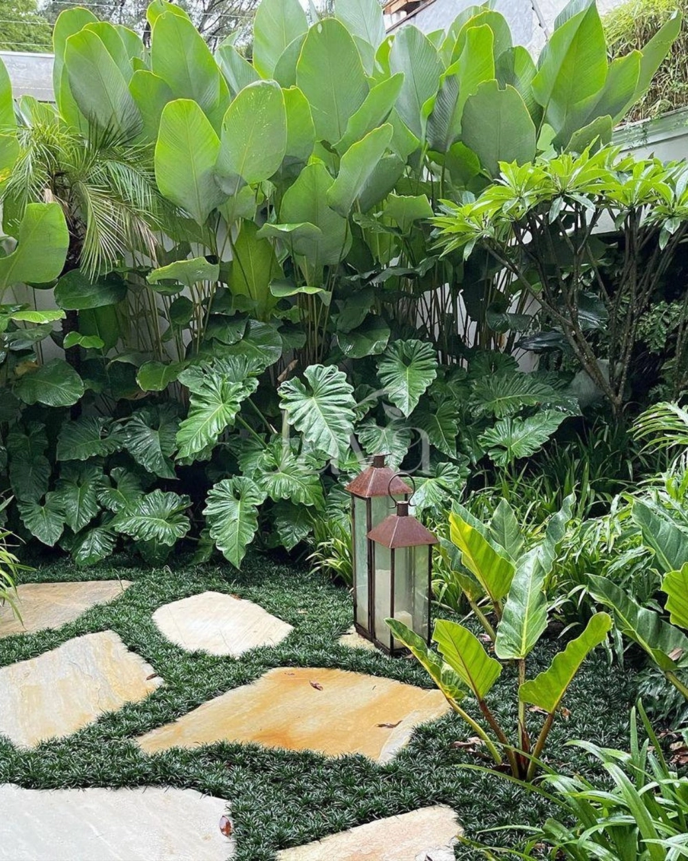 Phối hợp màu sắc sân vườn Tropical hài hòa và rực rỡ