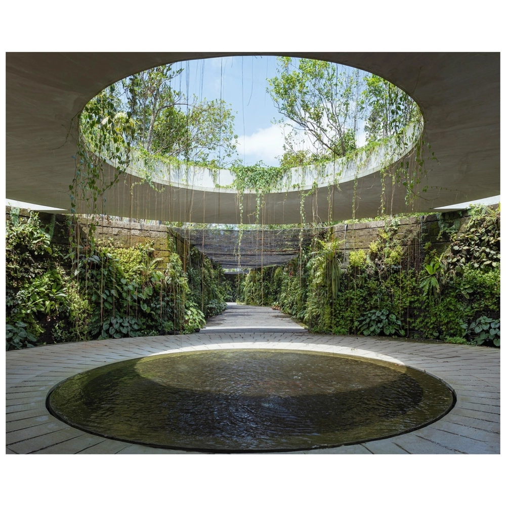 Rừng nhiệt đới thu nhỏ trong nhà mang lại không khí trong lành