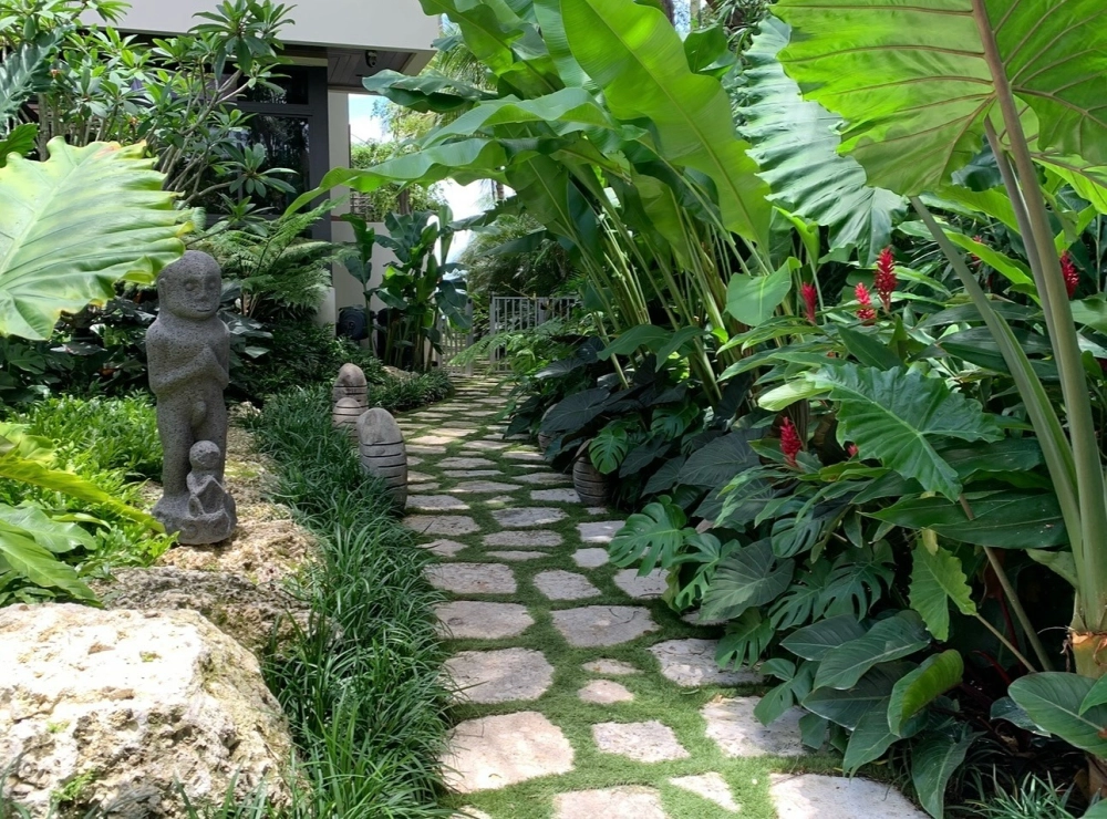 Thiết kế lối đi sân vườn Tropical uốn lượn mềm mại