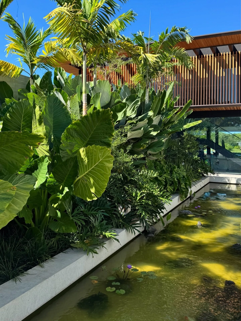 Lối đi sân vườn Tropical lót đá tự nhiên tinh tế