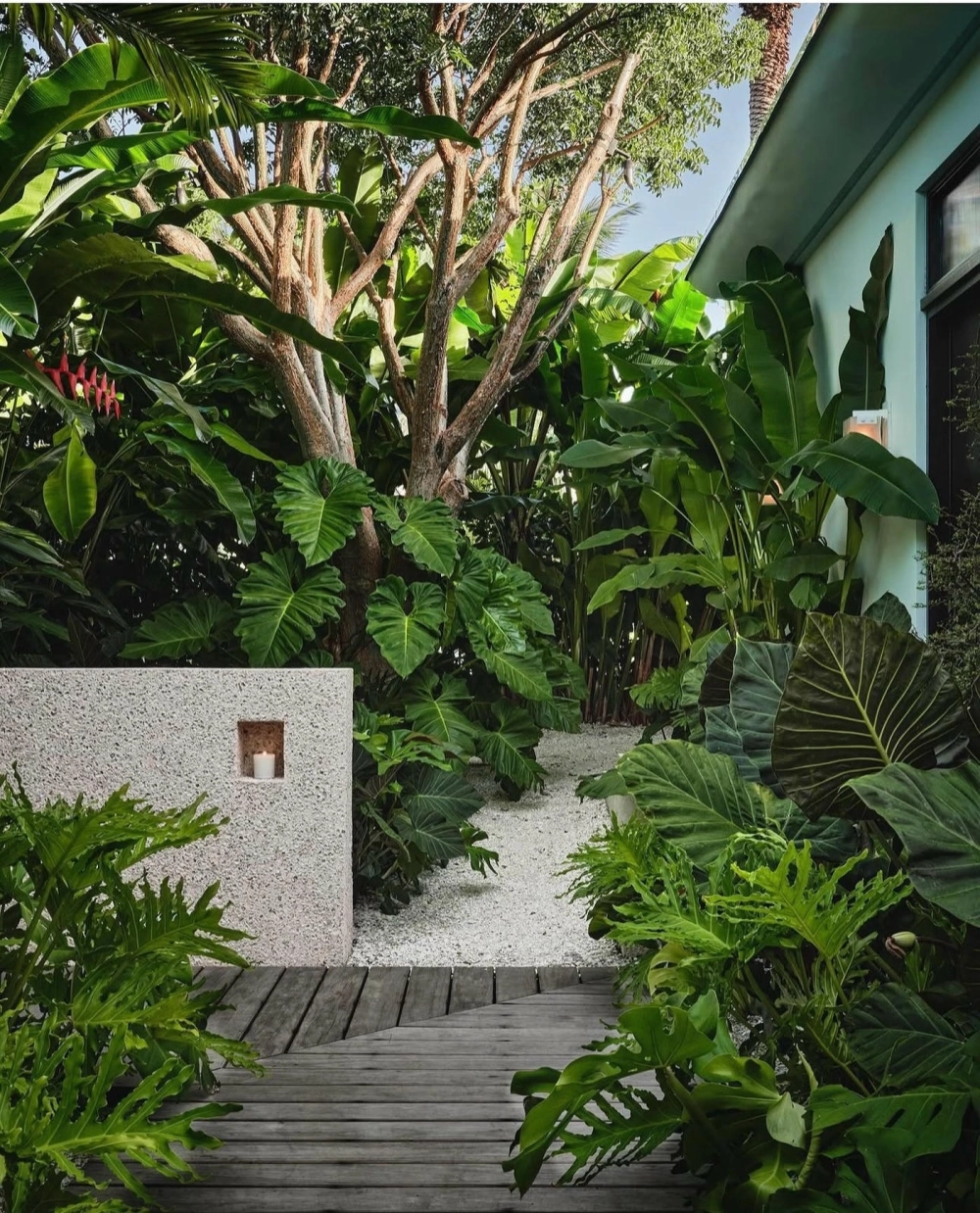Thiết kế sân vườn phong cách nhiệt đới (tropical garden) ấn tượng