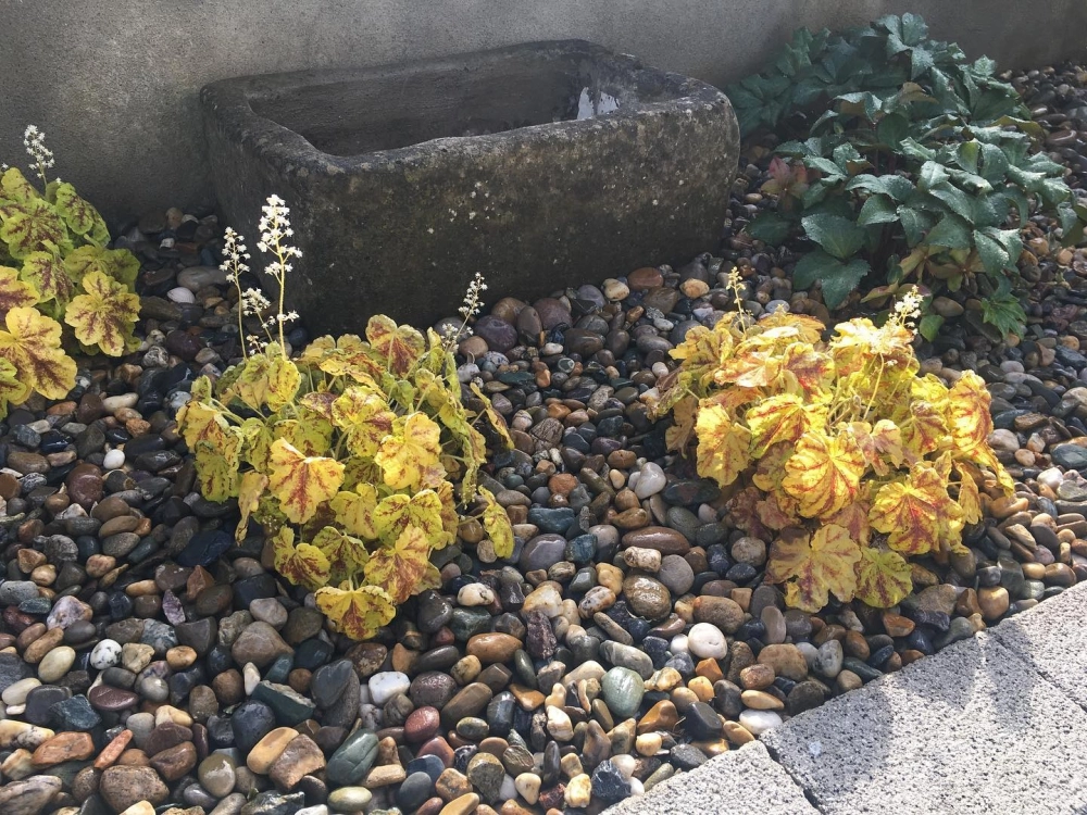 Sỏi rải lối đi sân vườn kết hợp với đá bước dặm