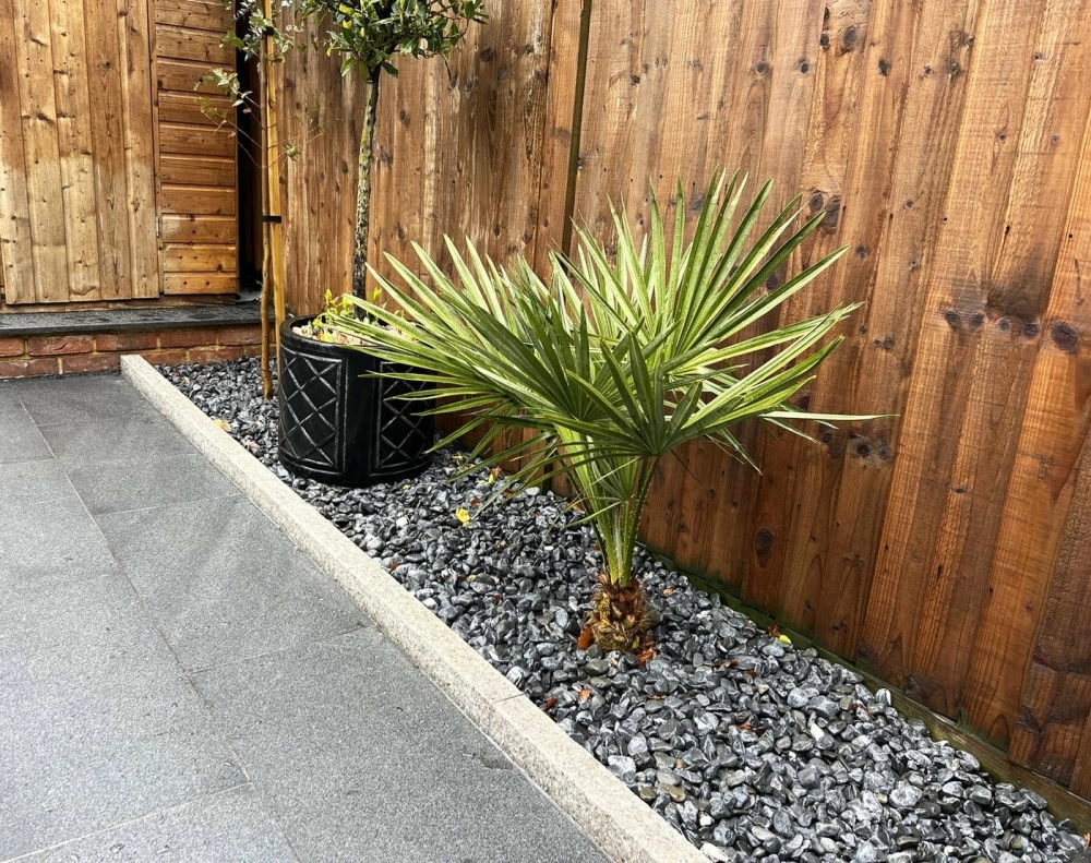 Sỏi trắng trang trí sân vườn tạo cảm giác sạch sẽ và thoáng đãng