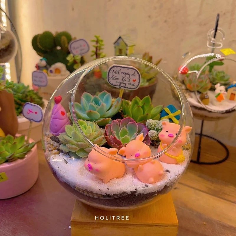 Khám phá terrarium sen đá đẹp cho góc xanh nhà bạn