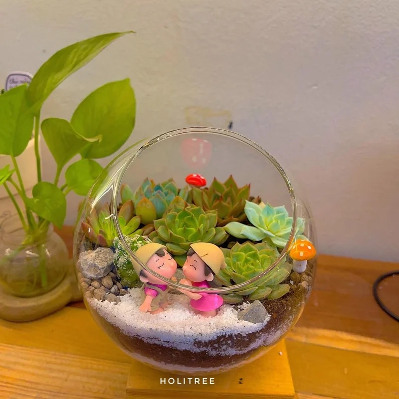 Góc xanh tuyệt đẹp nhờ terrarium cây mọng nước