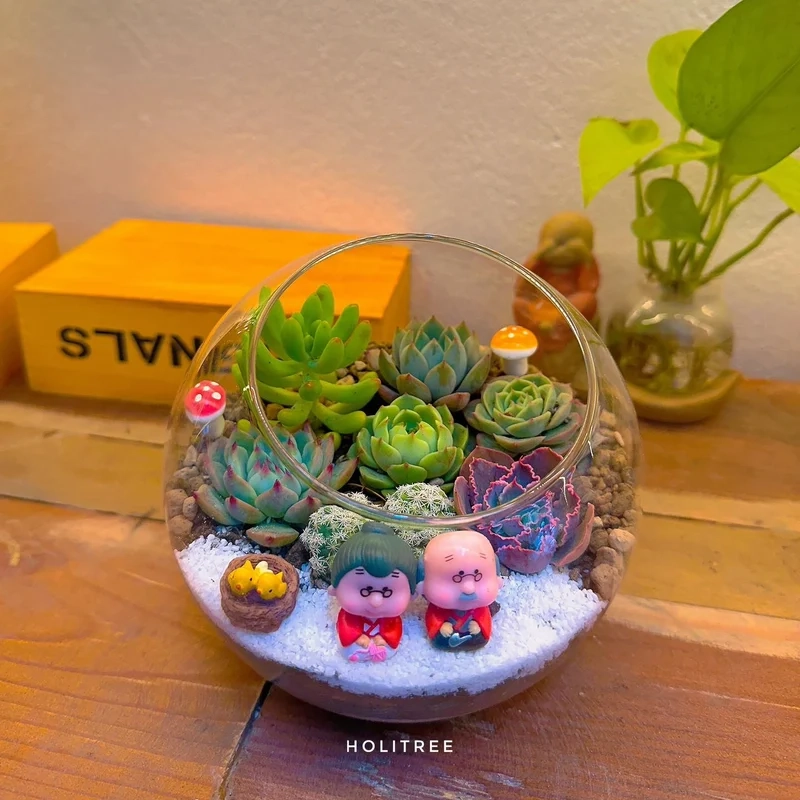 Chăm sóc dễ dàng nhờ terrarium dễ chăm
