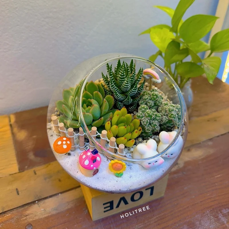 Terrarium tiểu cảnh trong bình là gì và vì sao cuốn hút