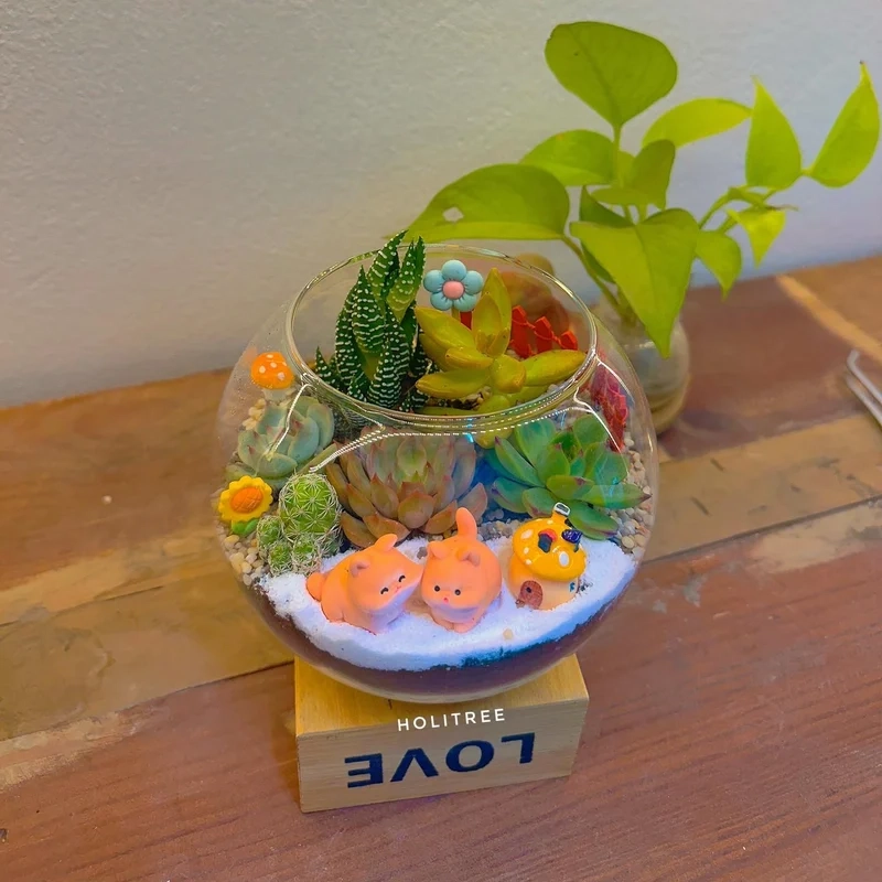 Chụp ảnh sống động nhờ terrarium chụp ảnh