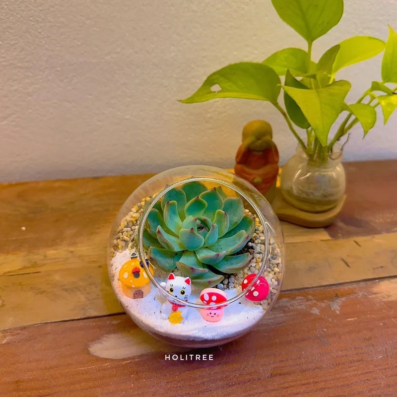Lưu lại bộ sưu tập với terrarium pinterest