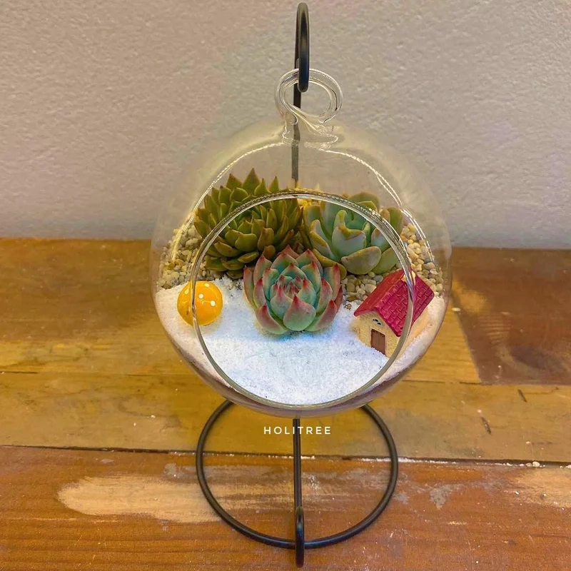 Chia sẻ ngay trên mạng xã hội với terrarium instagram