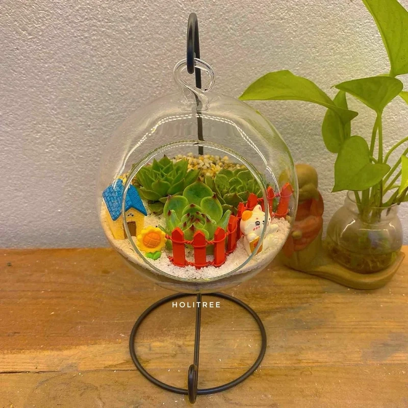 Tải về chi tiết sắc nét nhờ terrarium hd