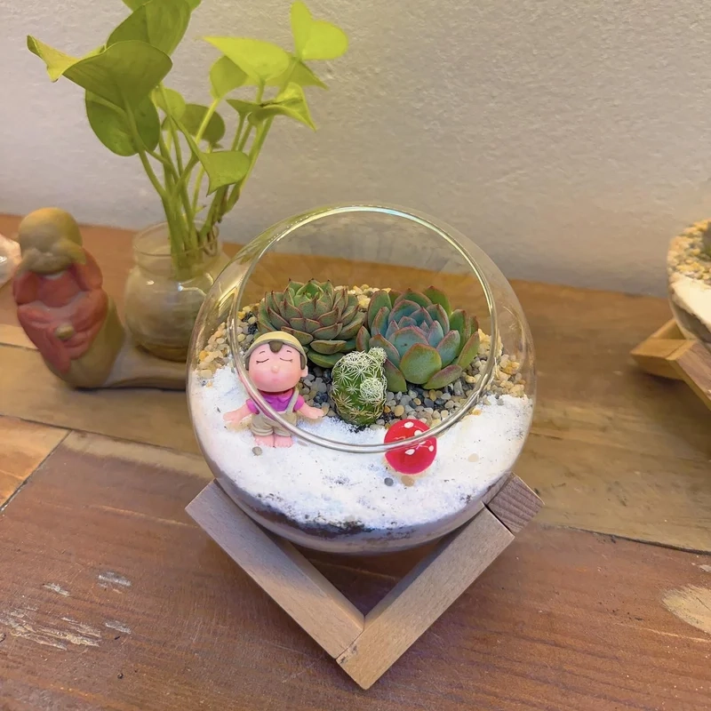 Ngắm chi tiết sống động với terrarium 4k