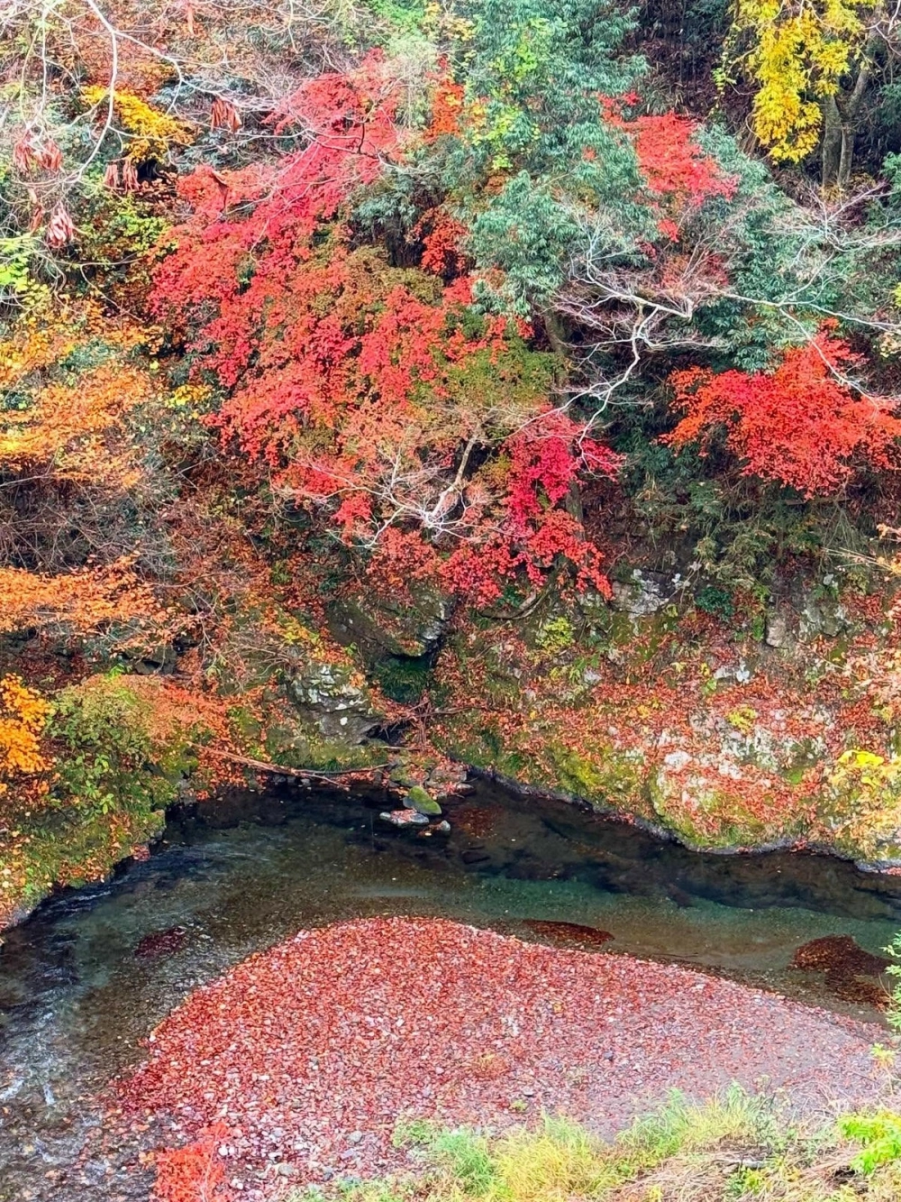 Mẫu thác nước sân vườn giá rẻ dễ thực hiện tại nhà