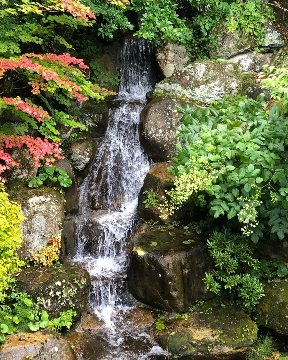 Tiểu cảnh thác nước sân vườn gầm cầu thang độc đáo