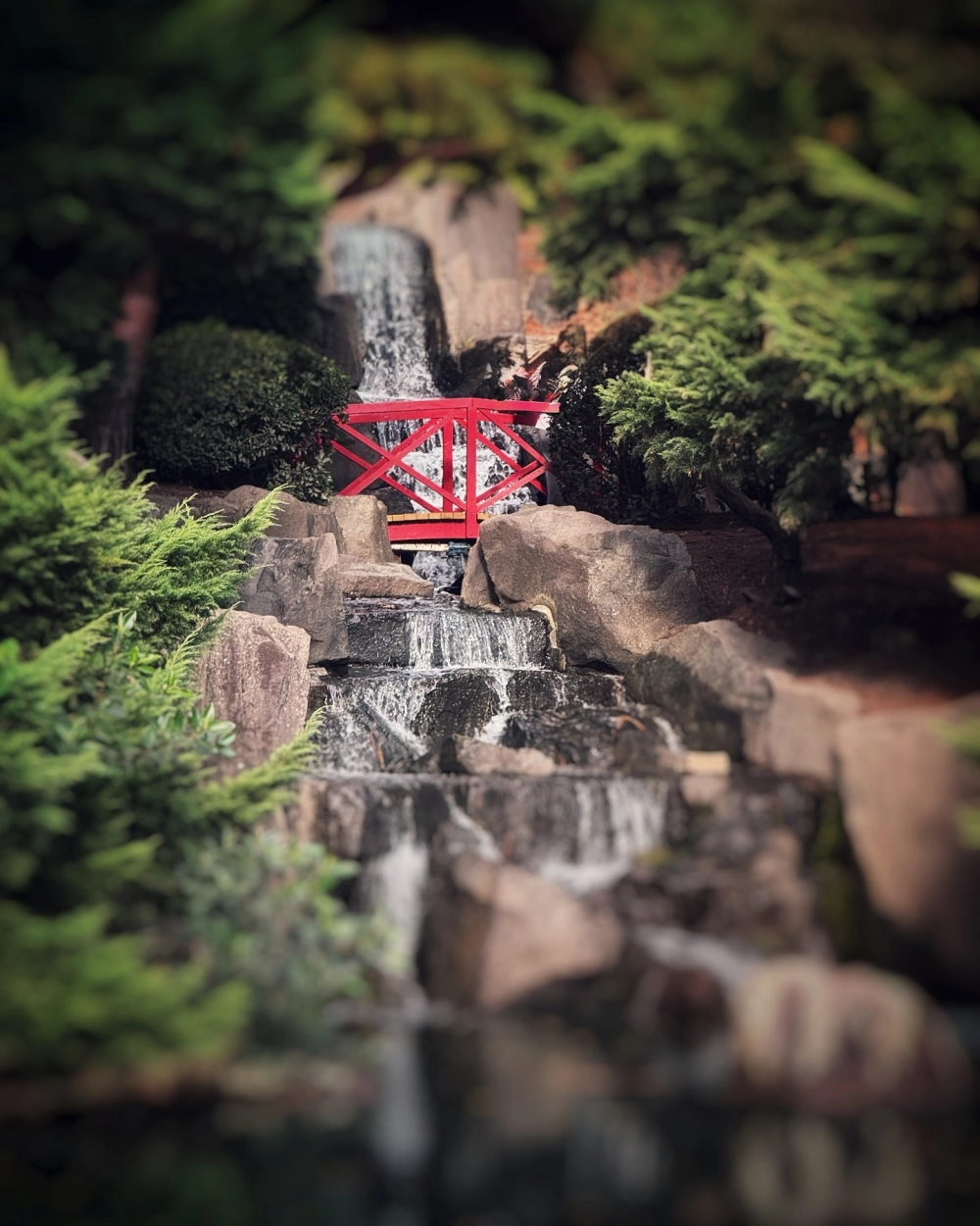 Thiết kế thác nước trên tường sân vườn tiết kiệm diện tích