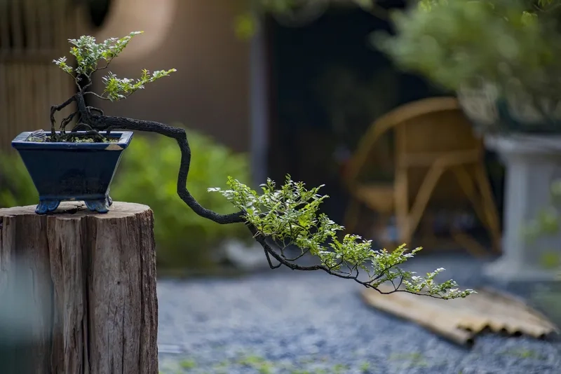 Mẫu thế thác đổ nghệ thuật sành