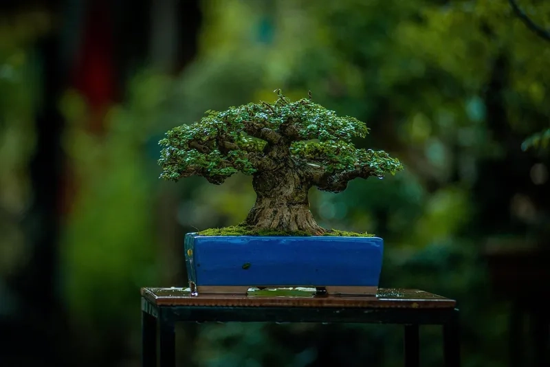 Ý nghĩa thế tam đa phúc lộc thọ