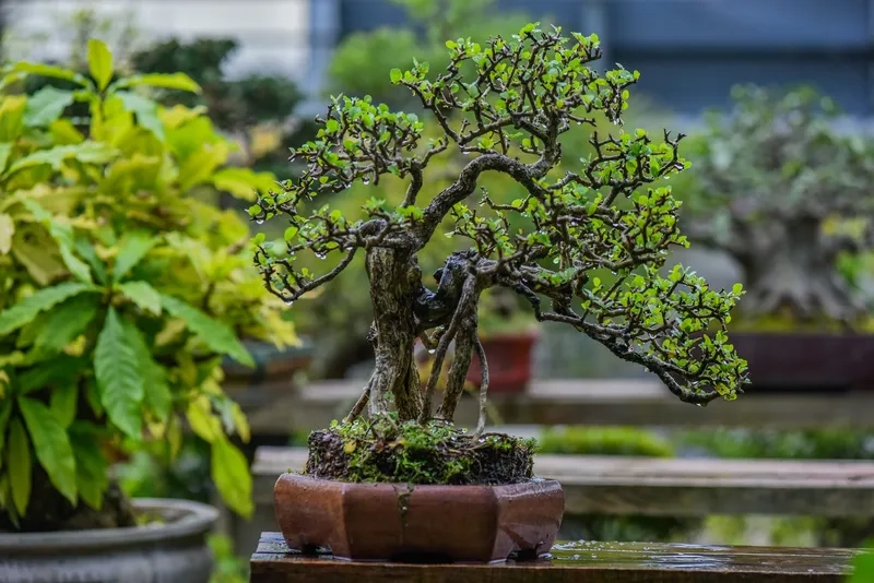 Tình cảm trong thế phụ tử sâu sắc