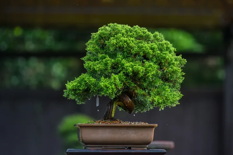 Sự ấm áp từ thế mẫu tử truyền thống