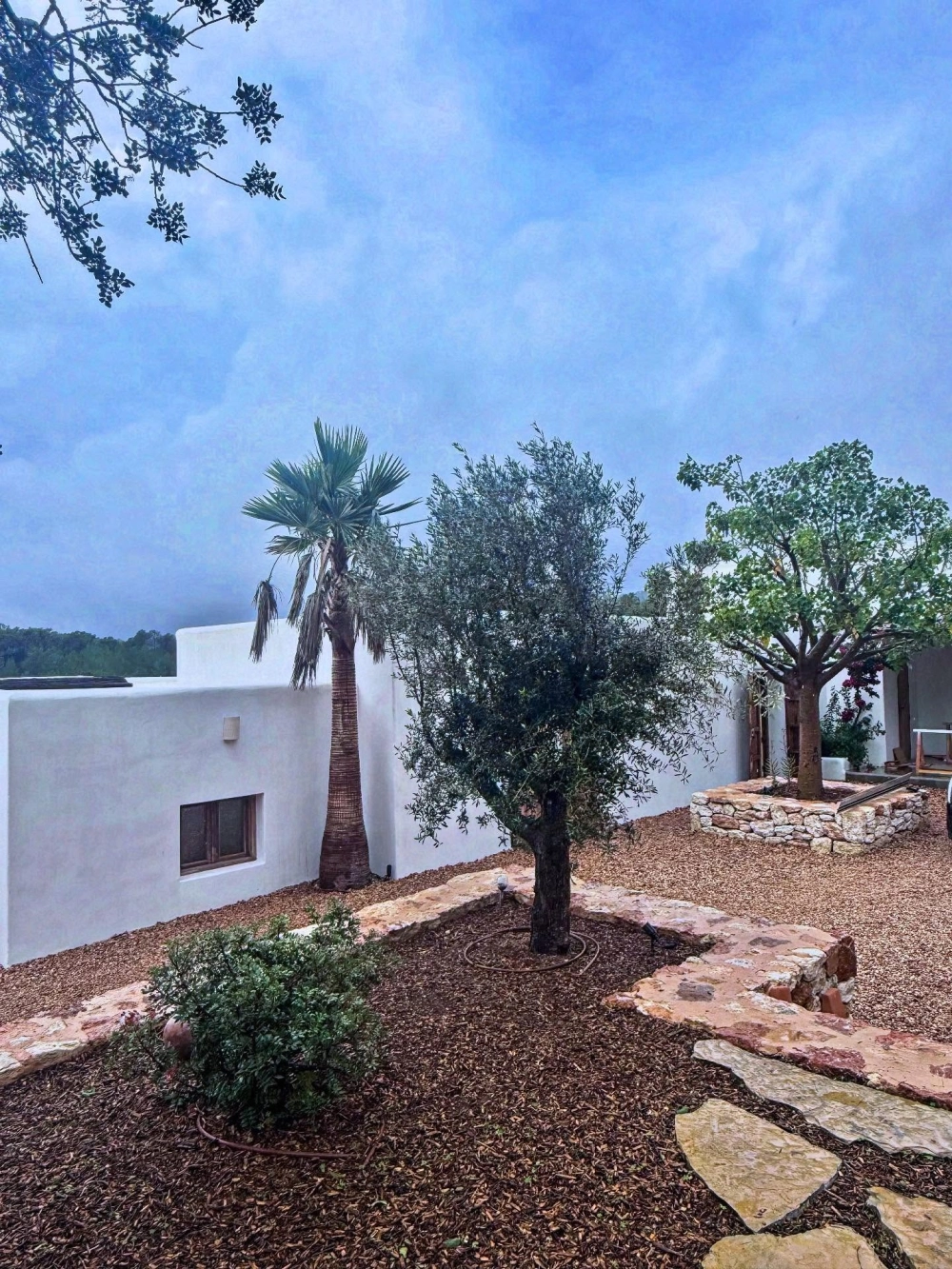 Dịch vụ sửa chữa cải tạo sân vườn cũ thành không gian sống mới