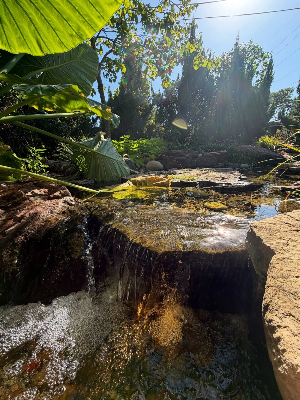 Kỹ thuật thi công sân vườn hồ cá koi đẹp chuẩn phong thủy